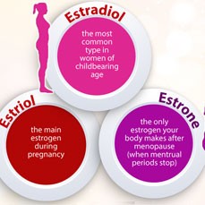 Cân bằng nội tiết tố nữ nhờ estrogen tự nhiên